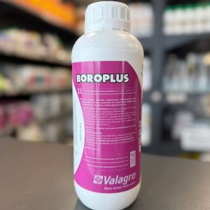 183 boroplus