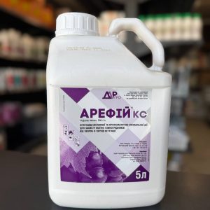 280 Арефій КС