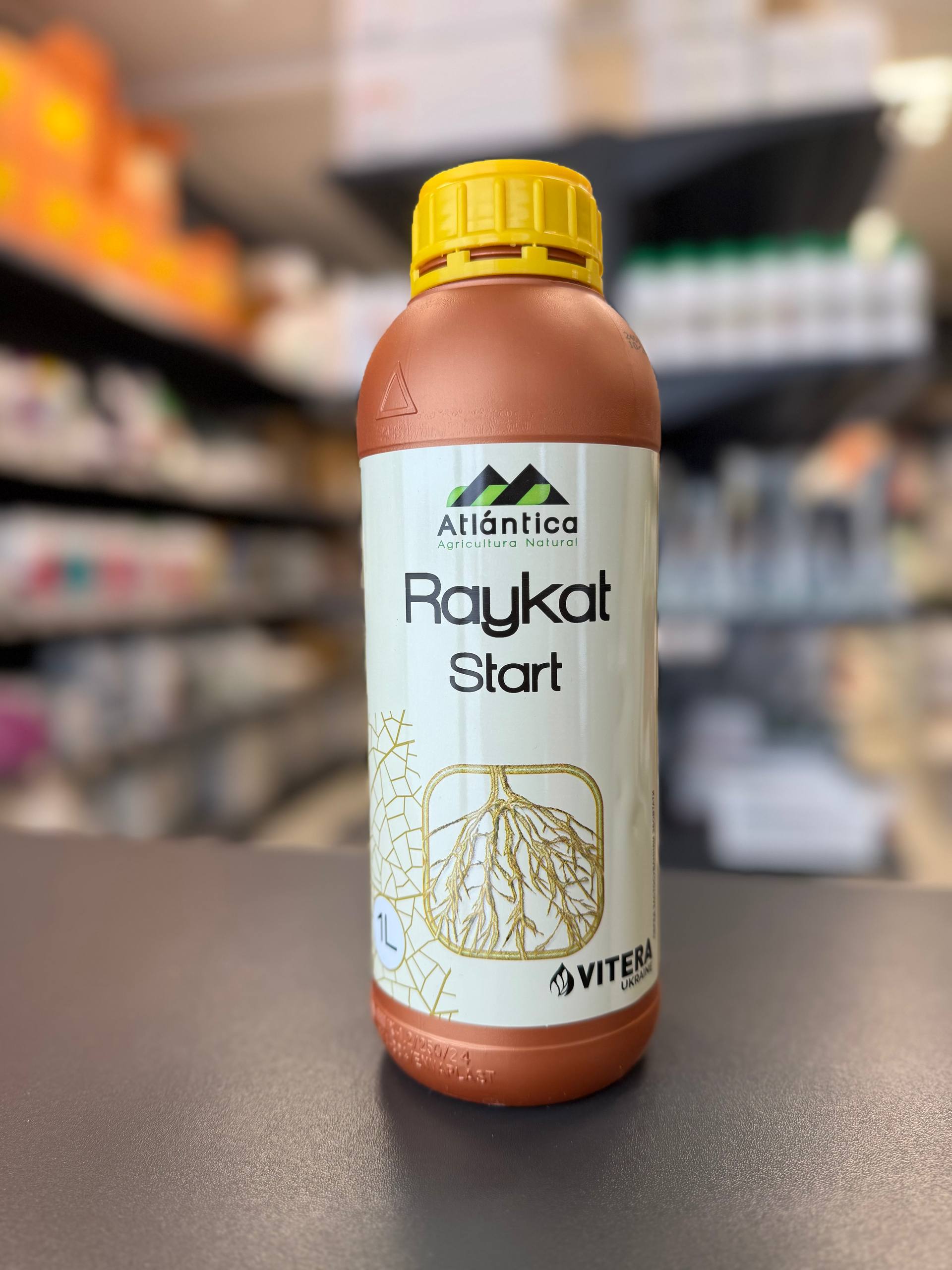 33 raykat start