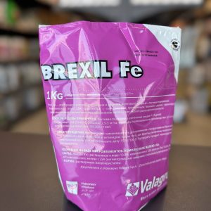 98 brexil fe