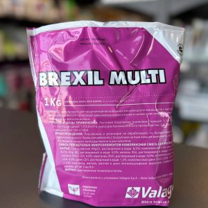 99 brexil multi